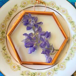 Fresh pressed Larkspur flour in a rose, gold glass, octagon float frame
